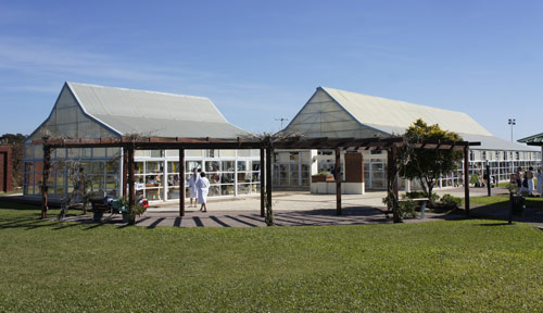 Termas de Federación
